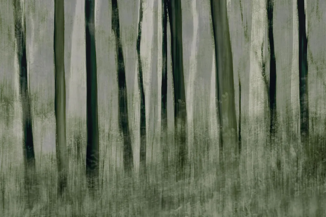 Painted Trees