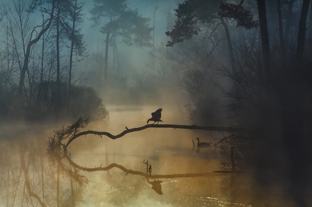 Morning Lake