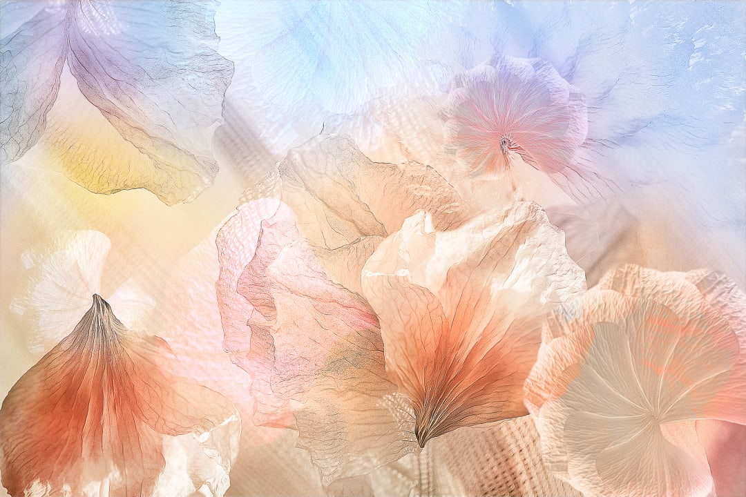 Pastel Petals