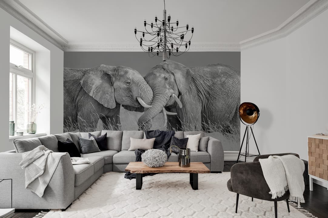 Elephant Hug