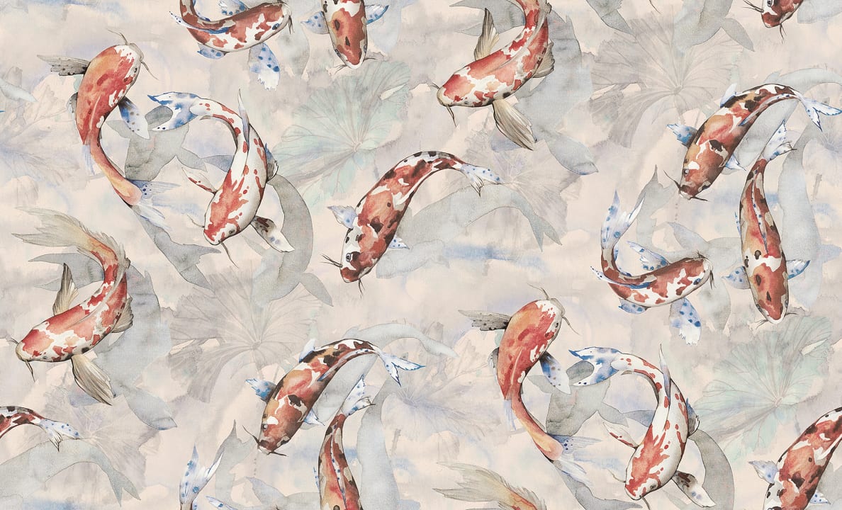 Koi, Coral