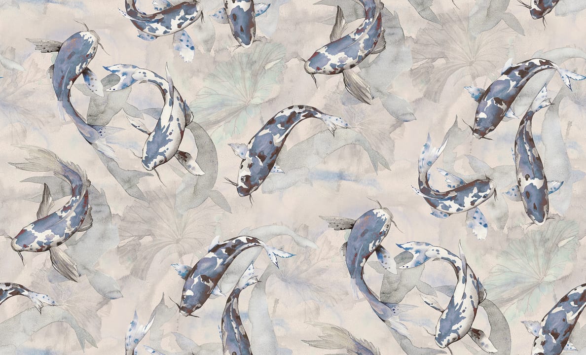 Koi, Blue
