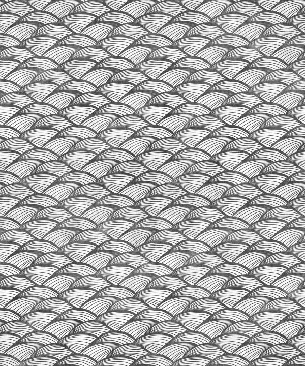 Ripple Graphite