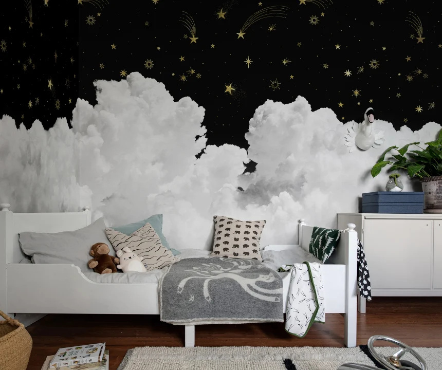 Star Cloud Night