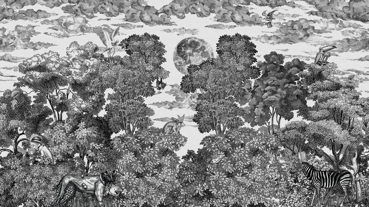 Bellewood Under The Moon, Graphite