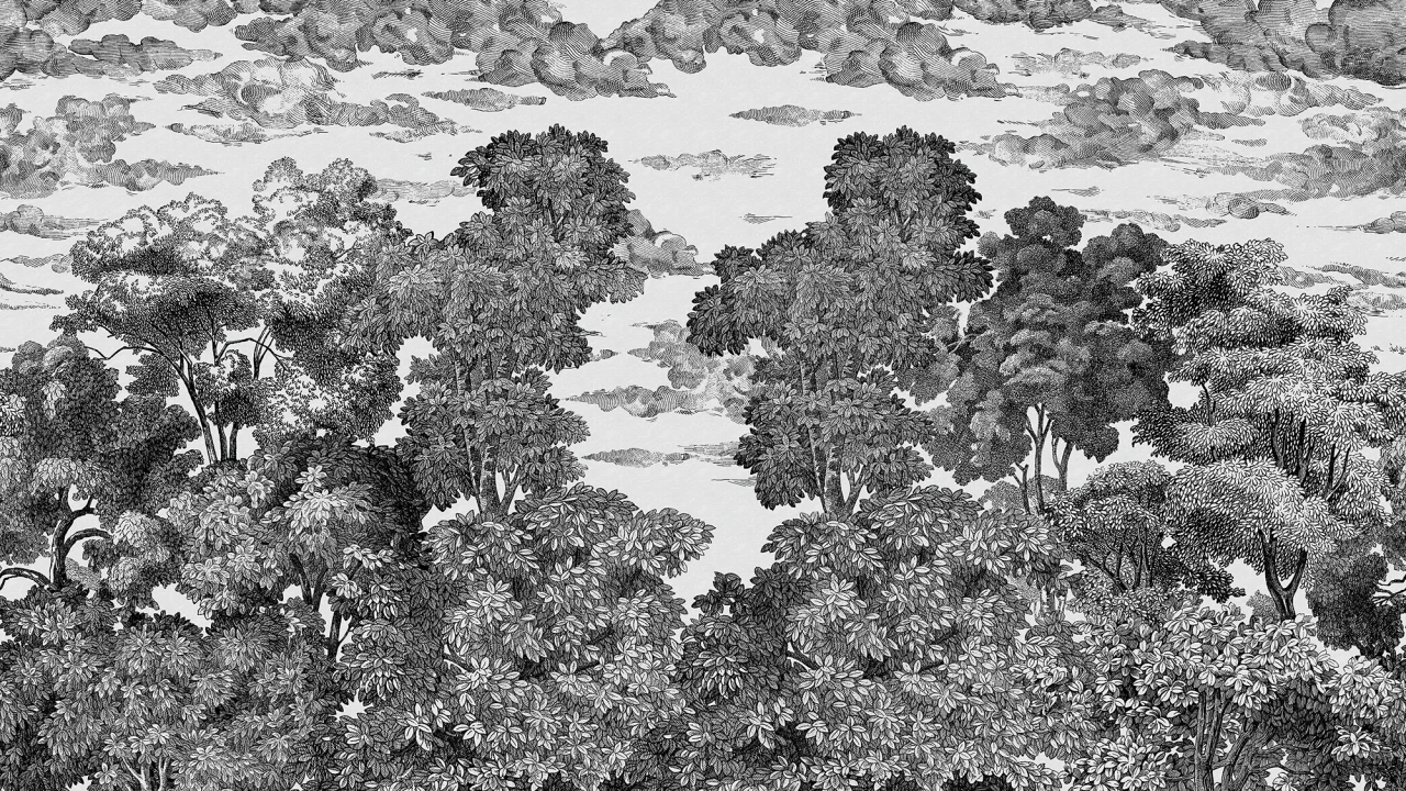Bellewood Under The Clouds, Graphite