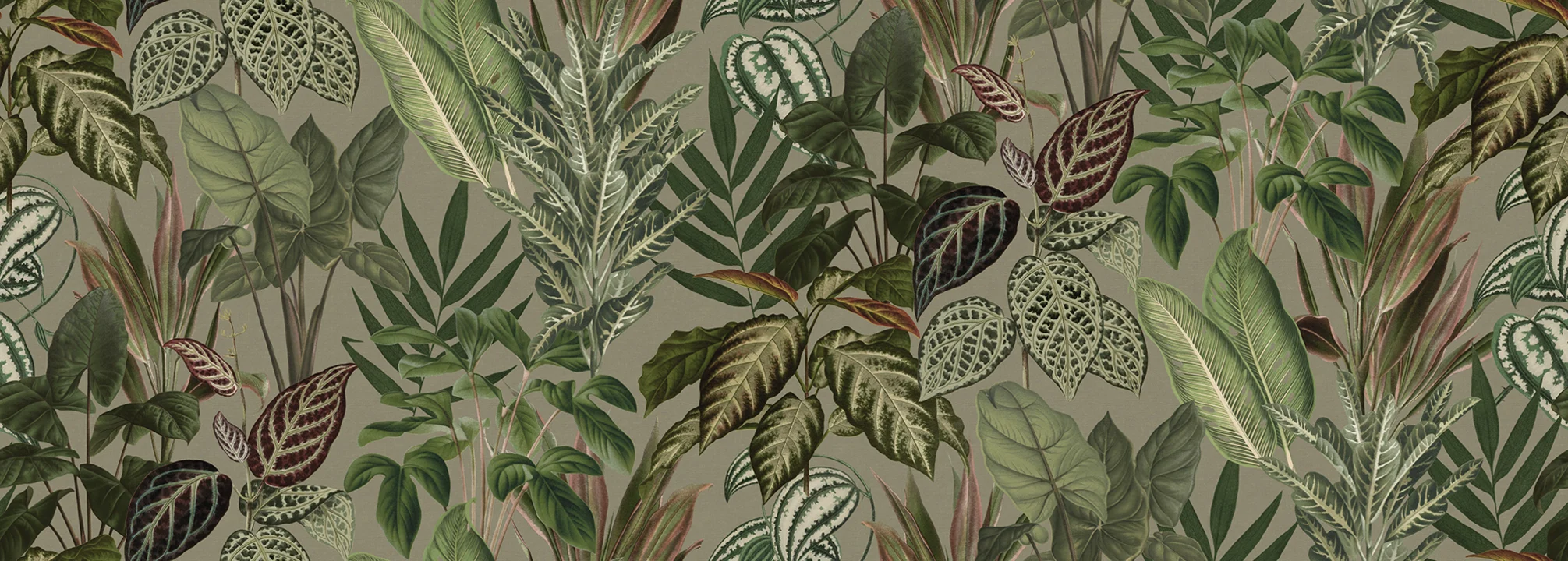 Mischievous Jungle, Sand