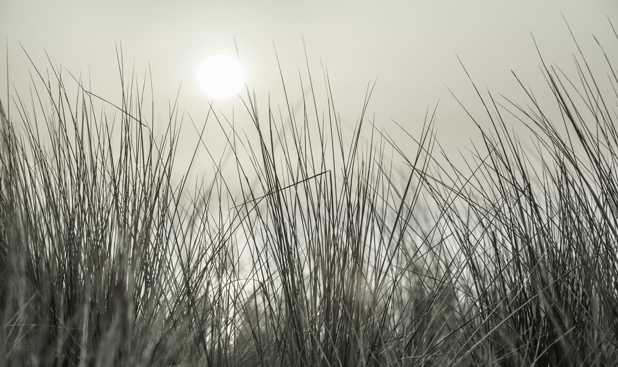 A place in the sun