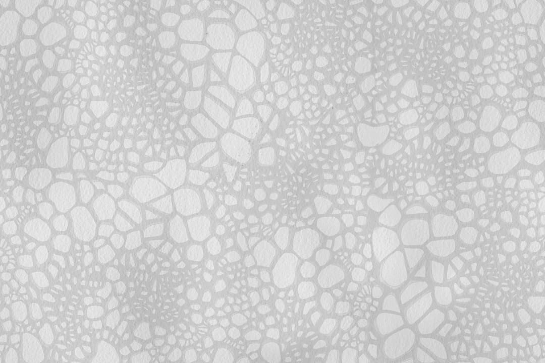 L'un des nombreux motifs de la nature