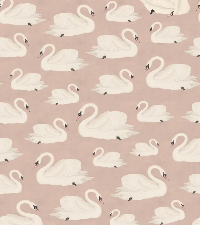 Graceful Swans