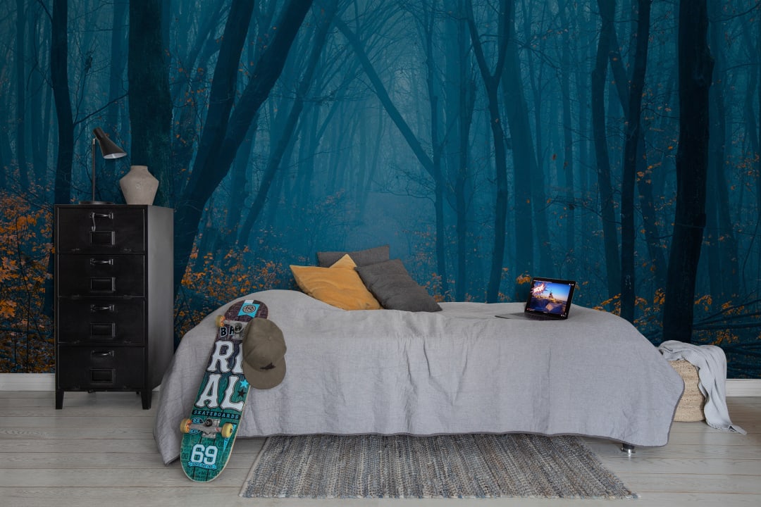 Hazy Forest