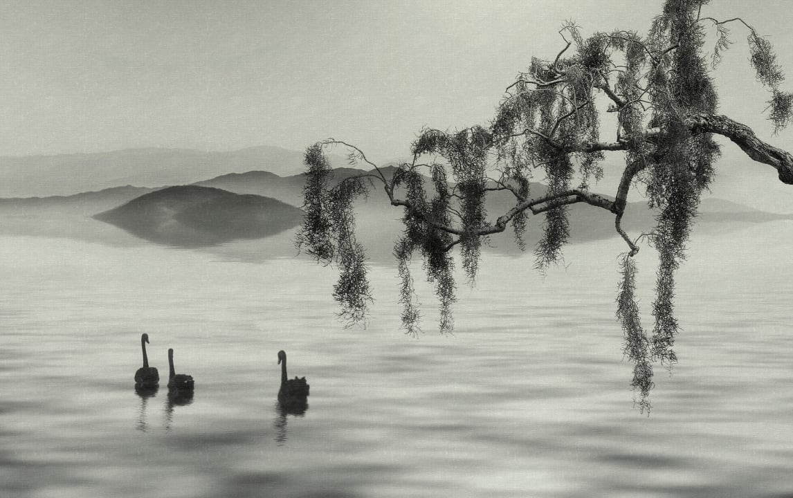 Zen Lake