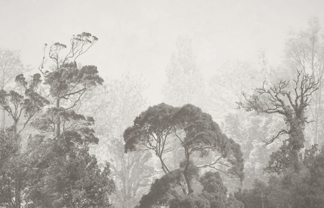 Vintage Forest