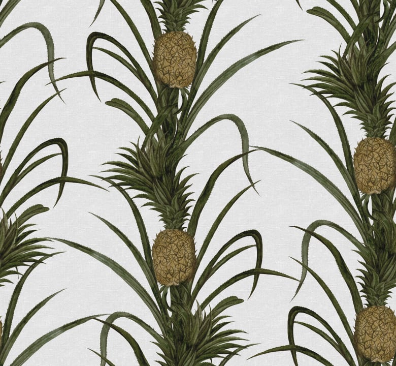 Create A Tropical Haven