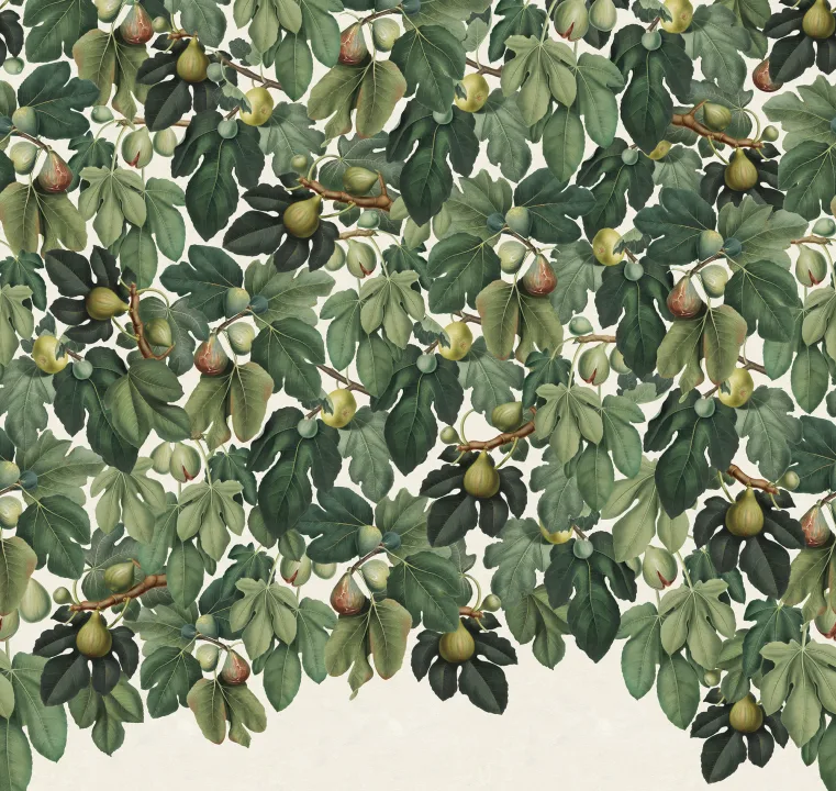 Care For Some Figs?