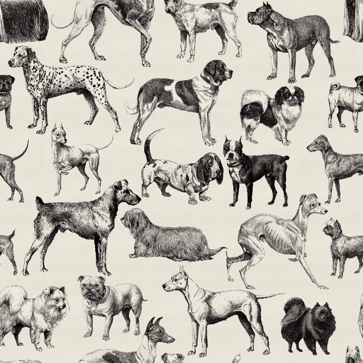 Una colección de perros