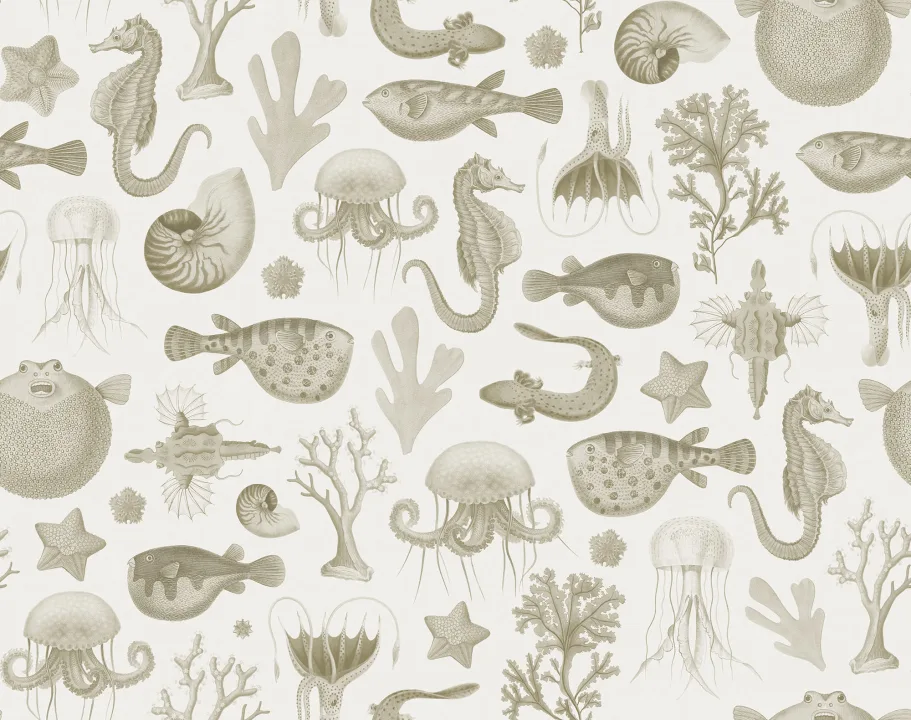 Dive into the Wonders of the Sea