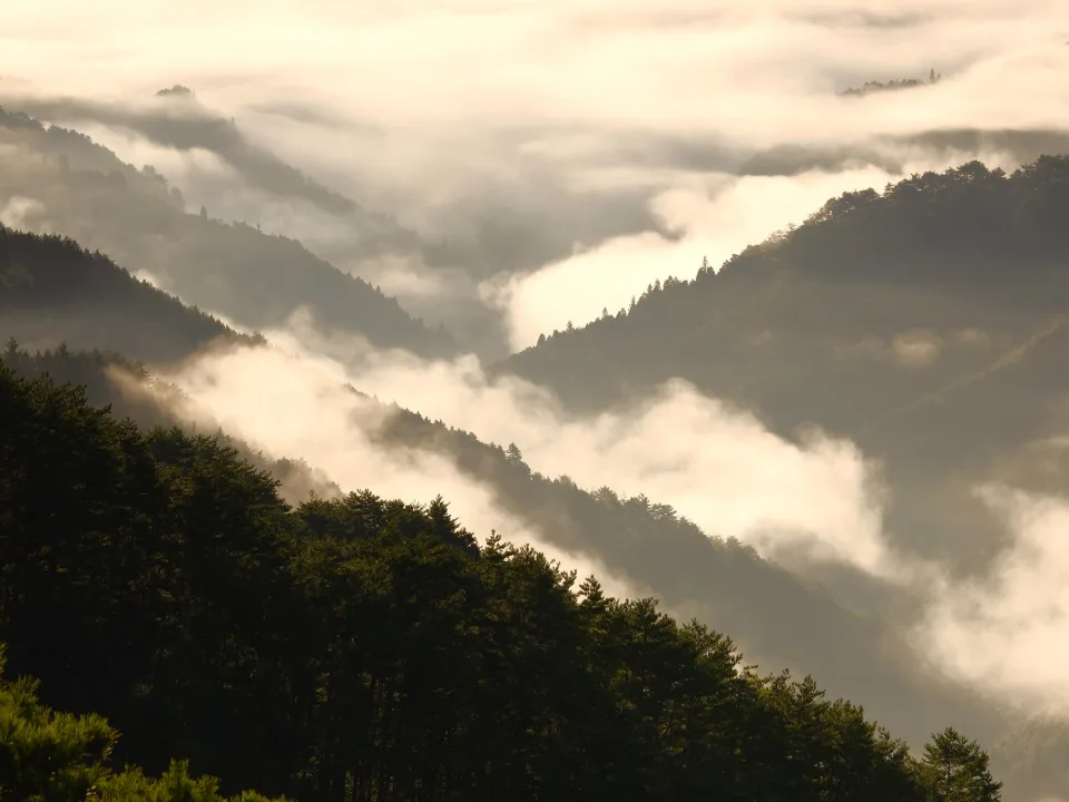 View of the Mountains