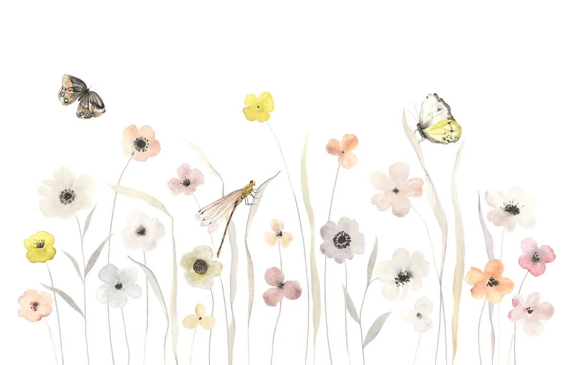 Blumen & Schmetterlinge