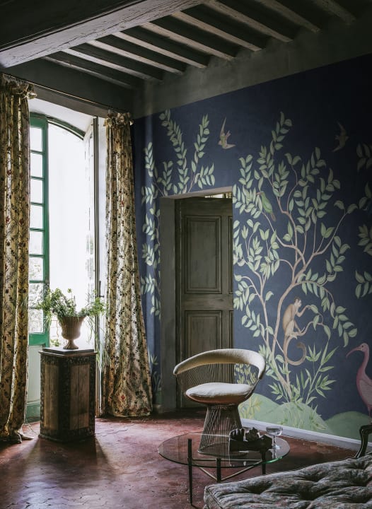 De beaux oiseaux et des singes espiègles