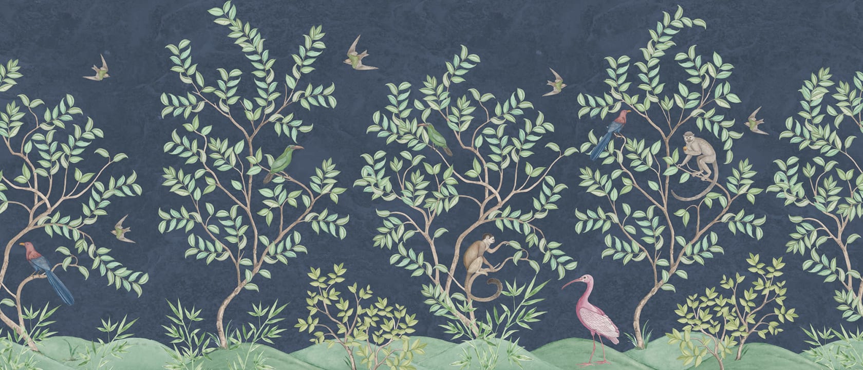 De beaux oiseaux et des singes espiègles