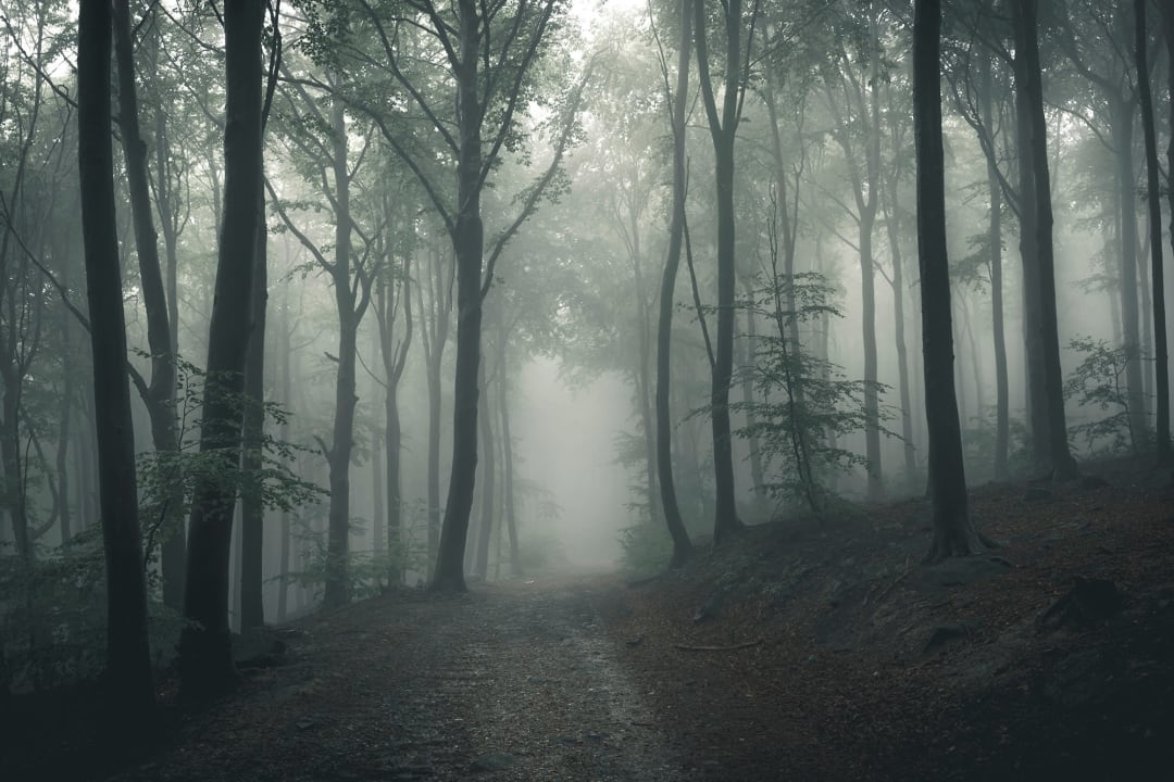 Get Closer to Nature