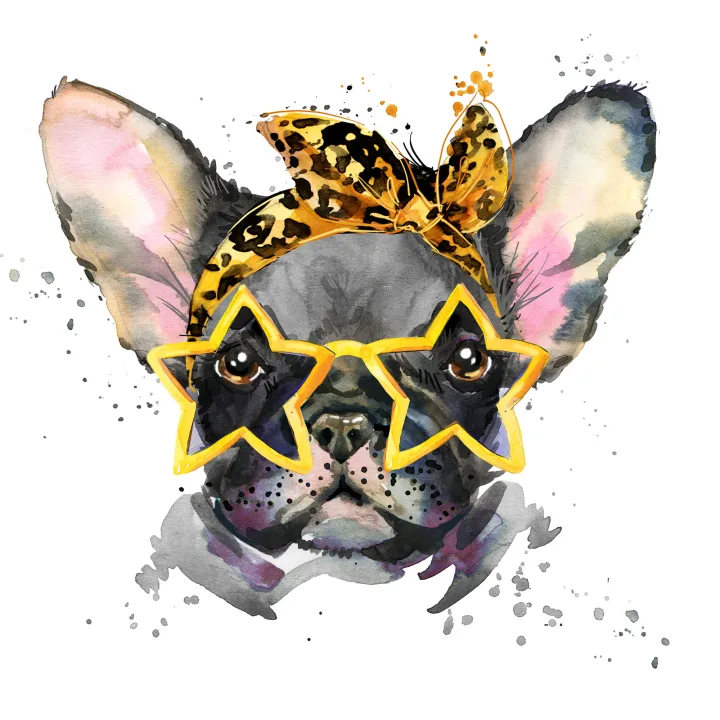 French Bulldog: Capturing Canine Coolness