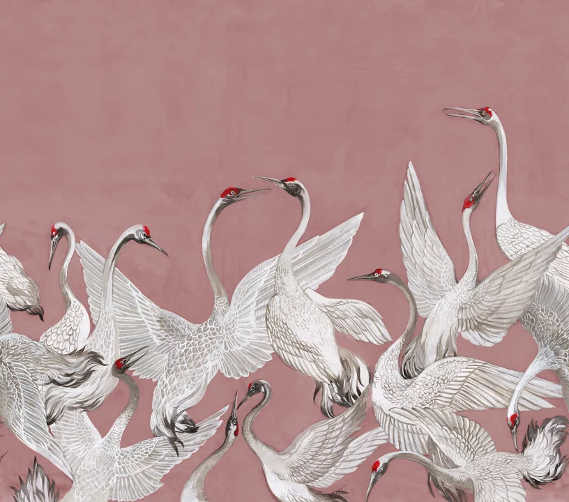 Cranes On a Pink Backdrop