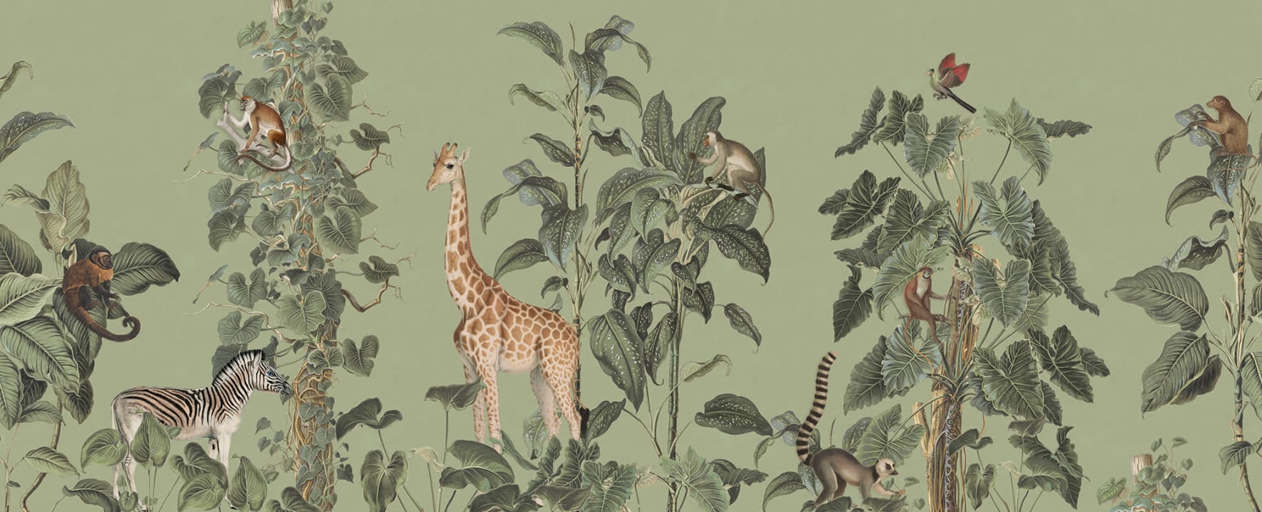 Errances de la faune sauvage