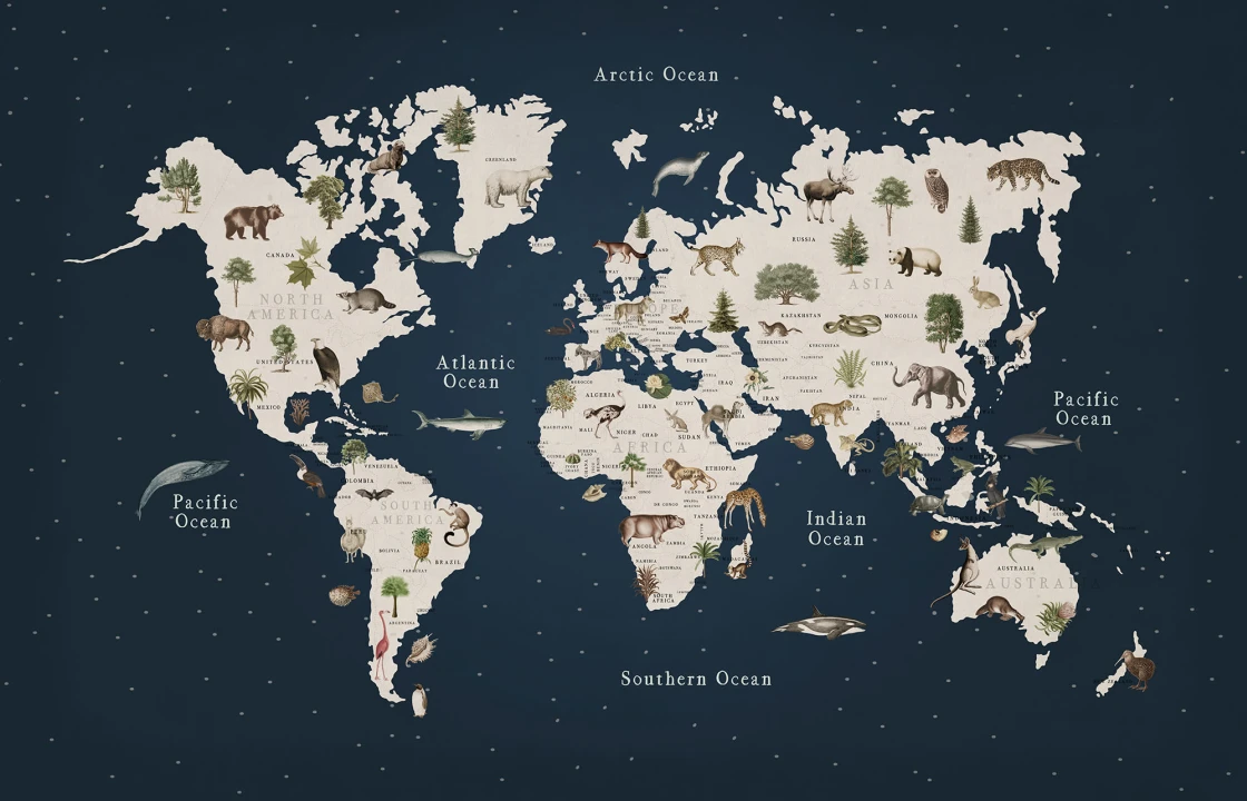 A Global Safari Adventure