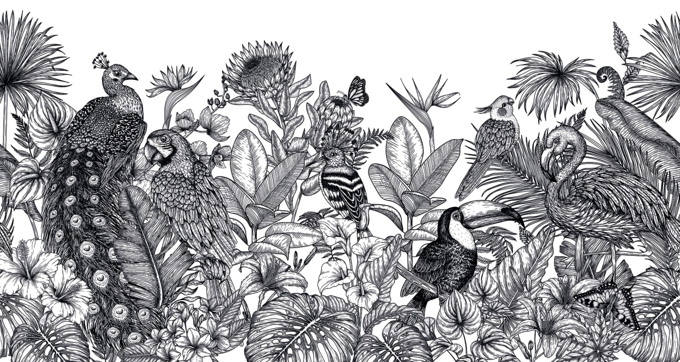 Exotic Birds in Tropical Garden