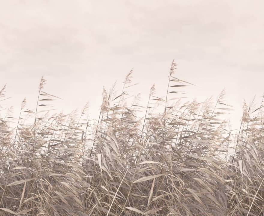Une toile de repos 