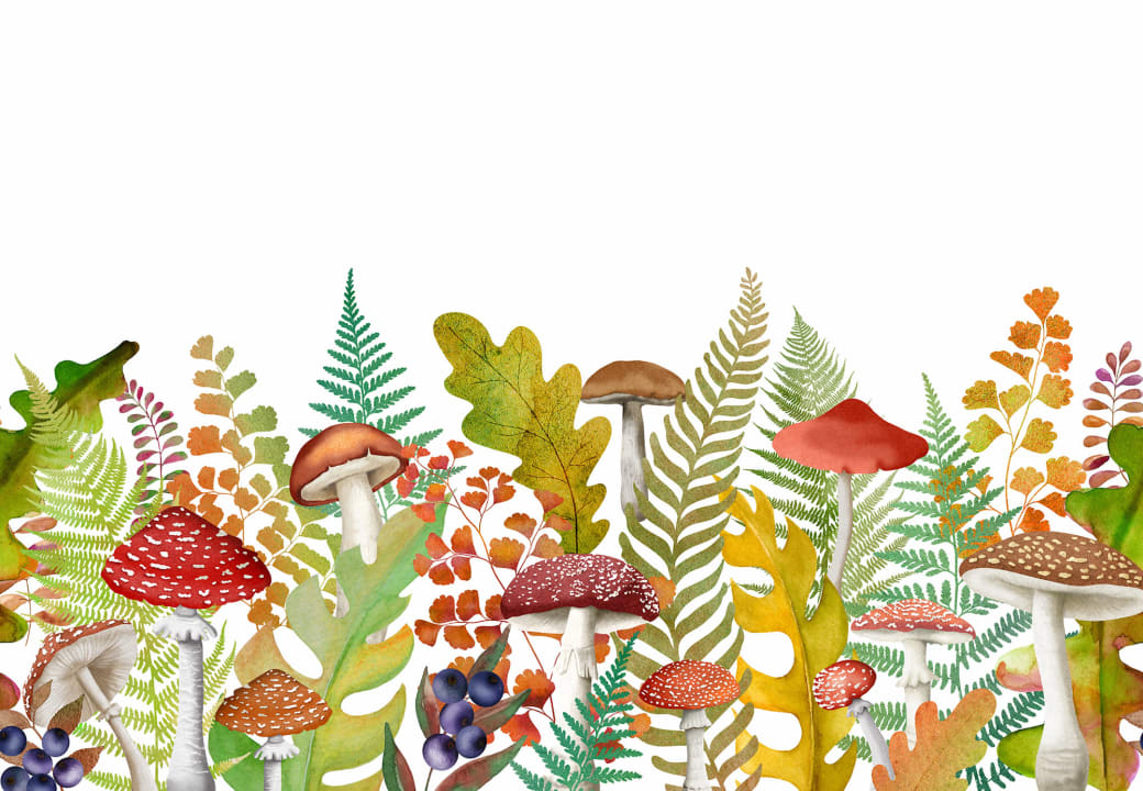 Euforia d'autunno