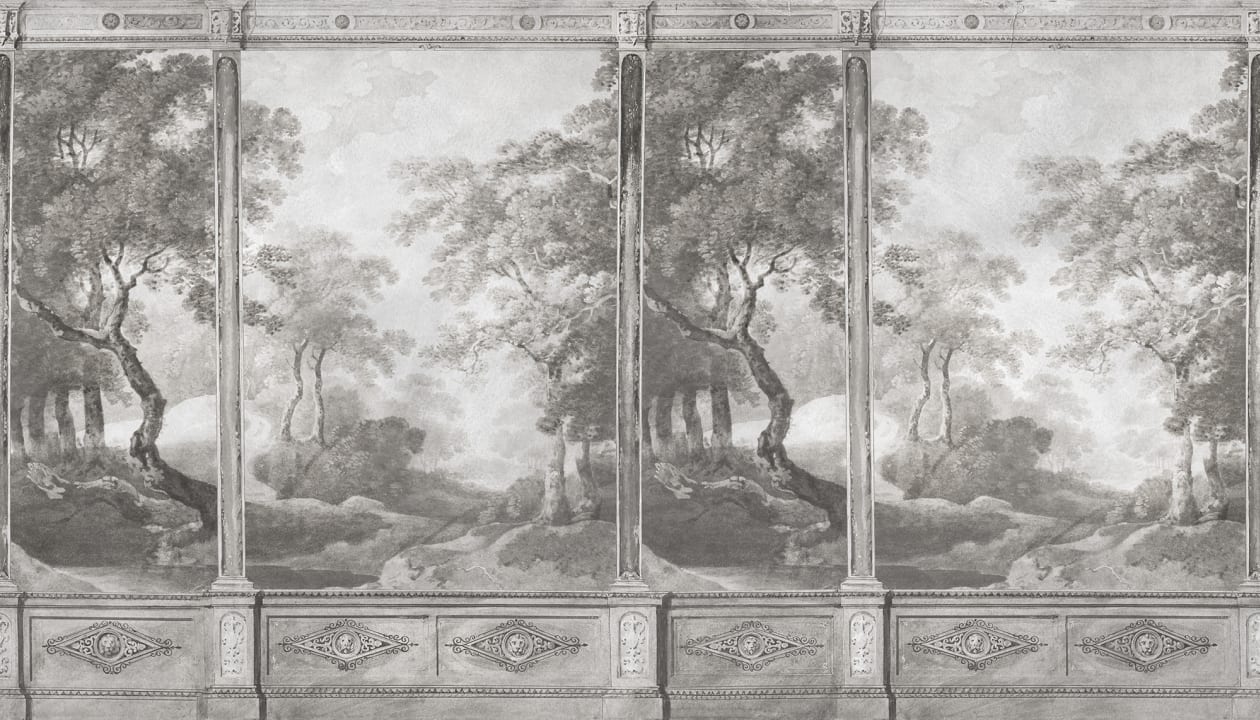 Sereniteit in het bos