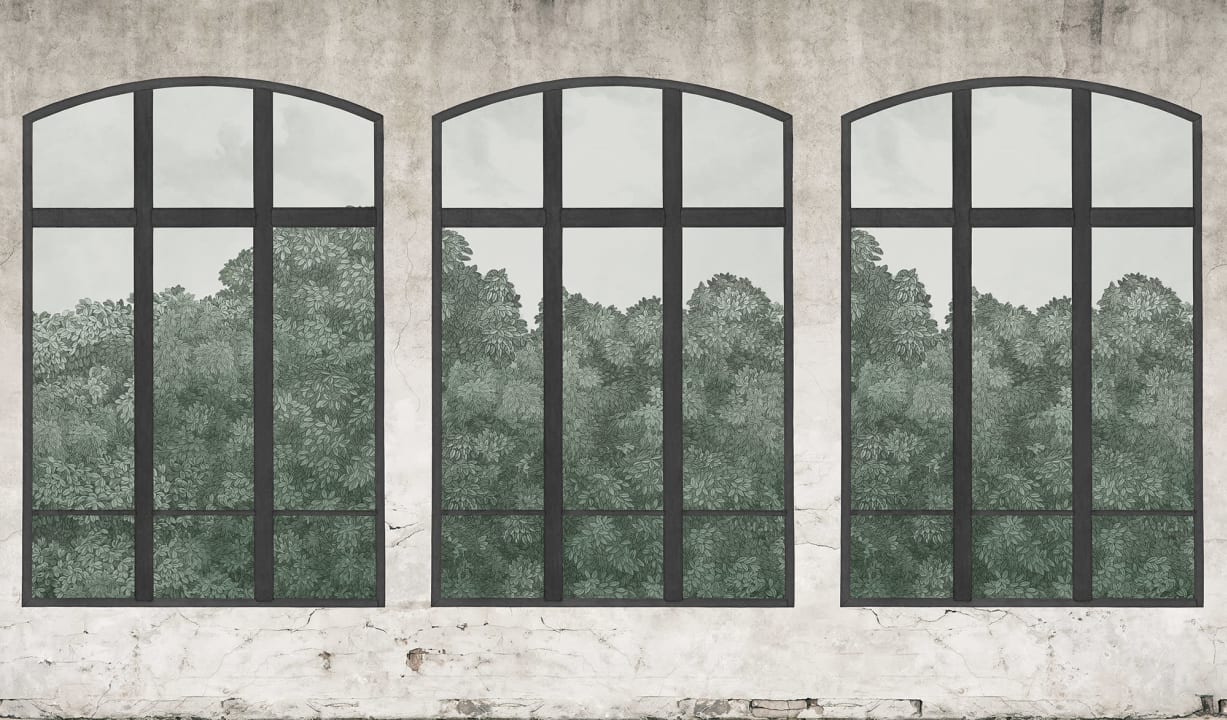 Soft Green Windows