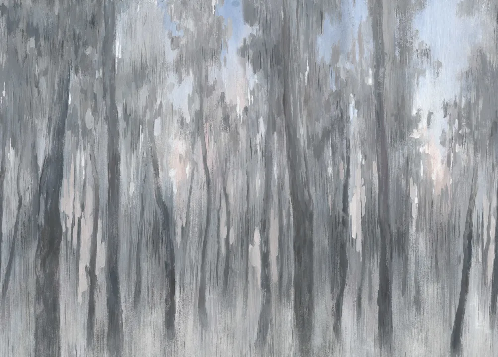 Foresta grigia del mattino