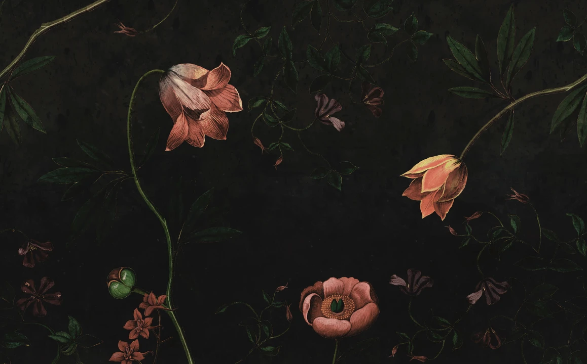 Nattligt blomstermysterium