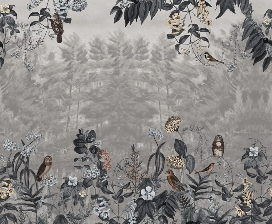 Mysterious Forest Escape