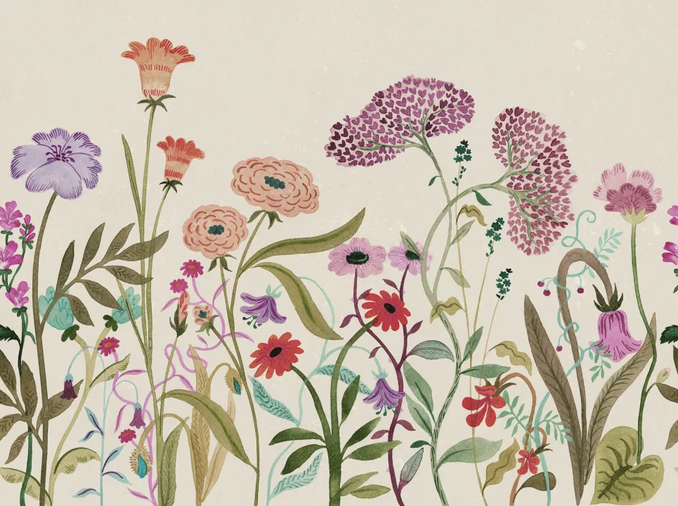 Prairie d'été
