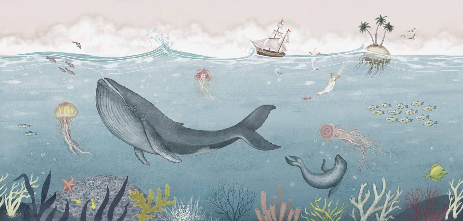 Ocean Adventure