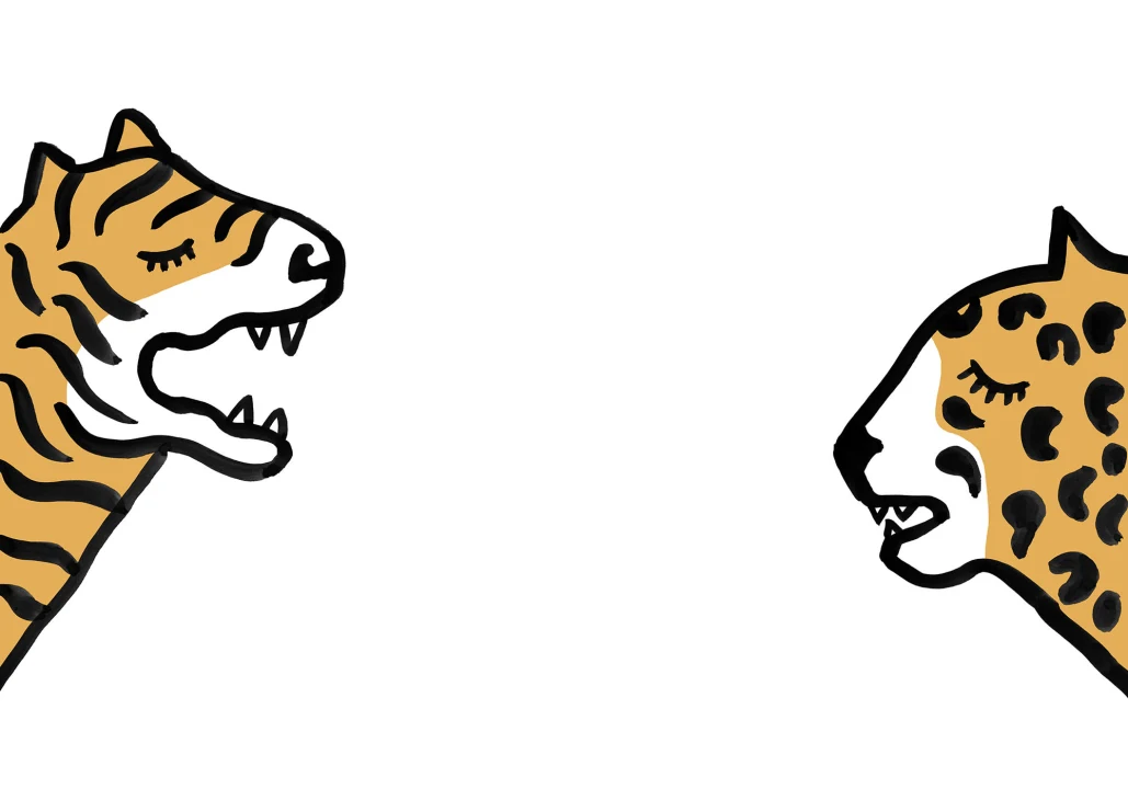 Graphic Cat Gossip