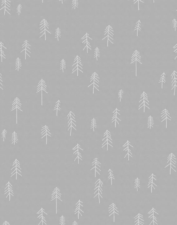 Forêt silencieuse