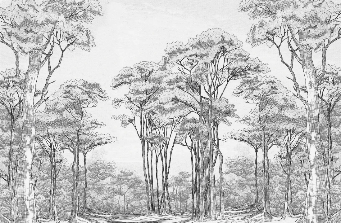 Black White Trees