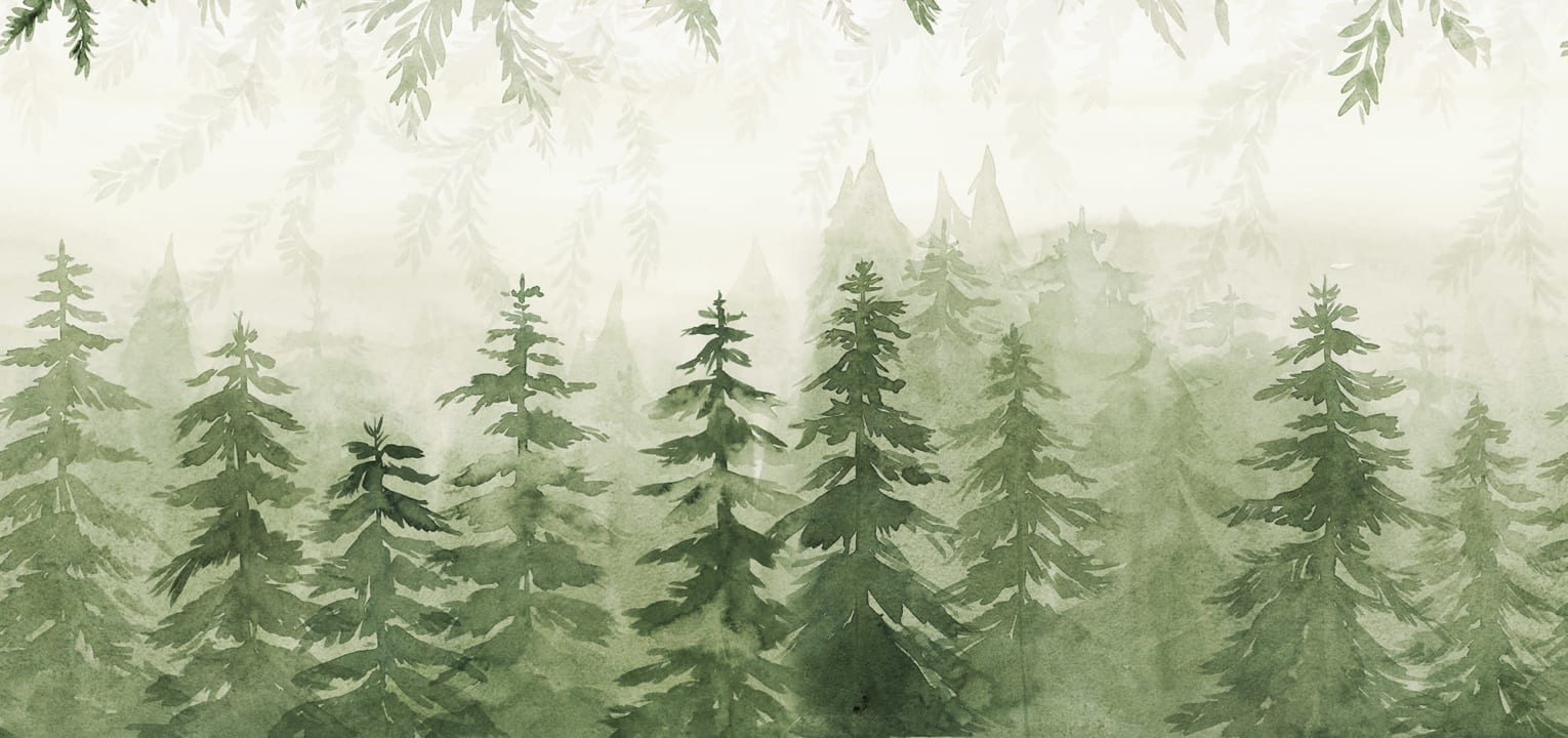 Gelassenheit in der Wildnis