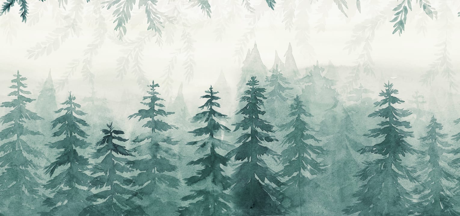 Calming Wilderness