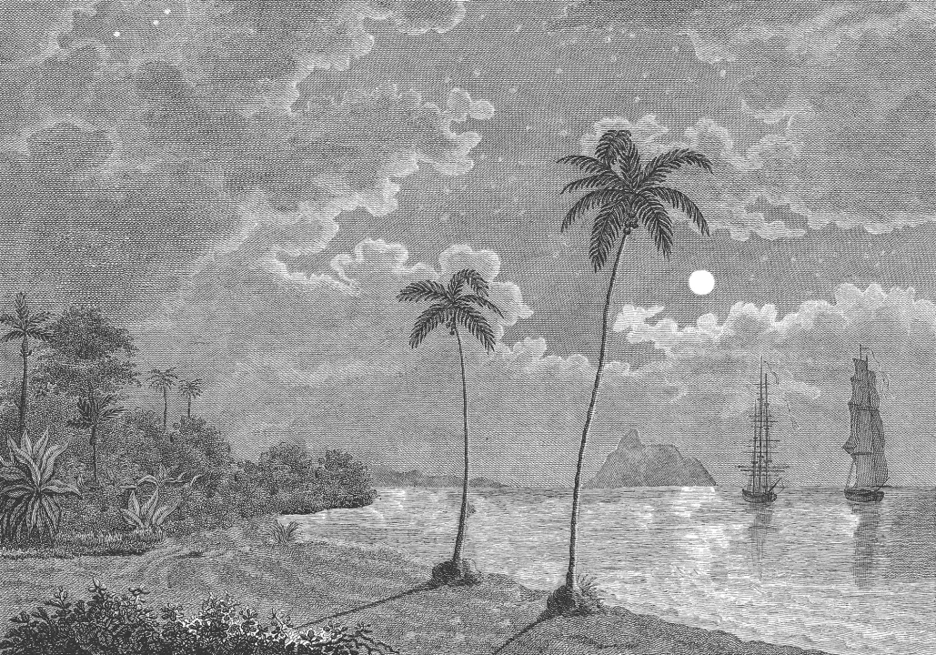 Tropical Escape