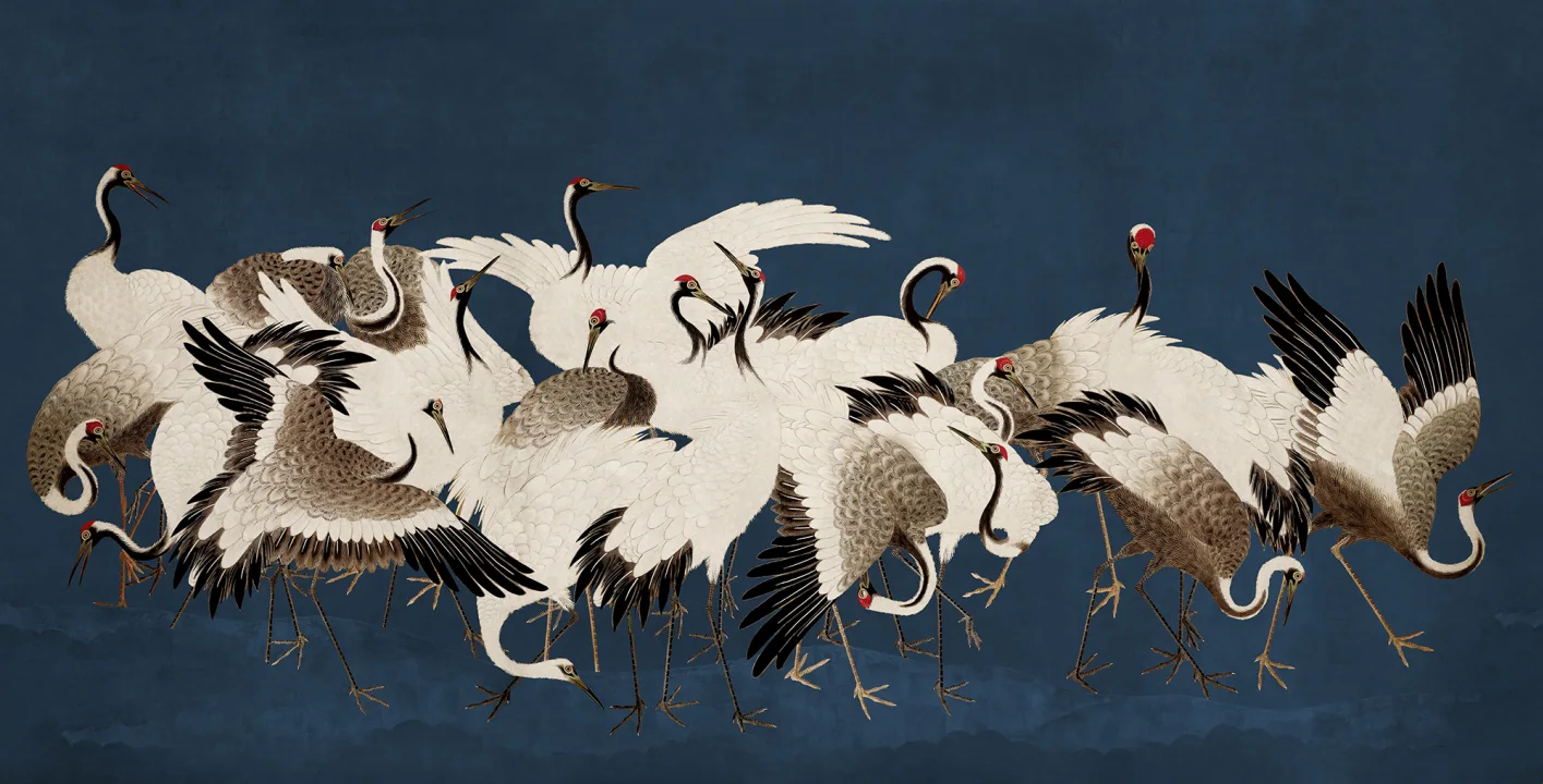 Cranes in Motion