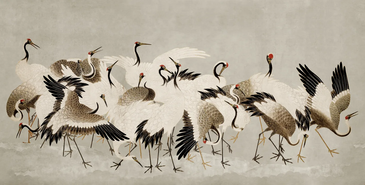 Cranes in Motion
