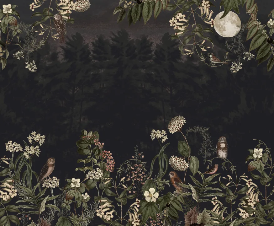 Magie de la forêt de minuit