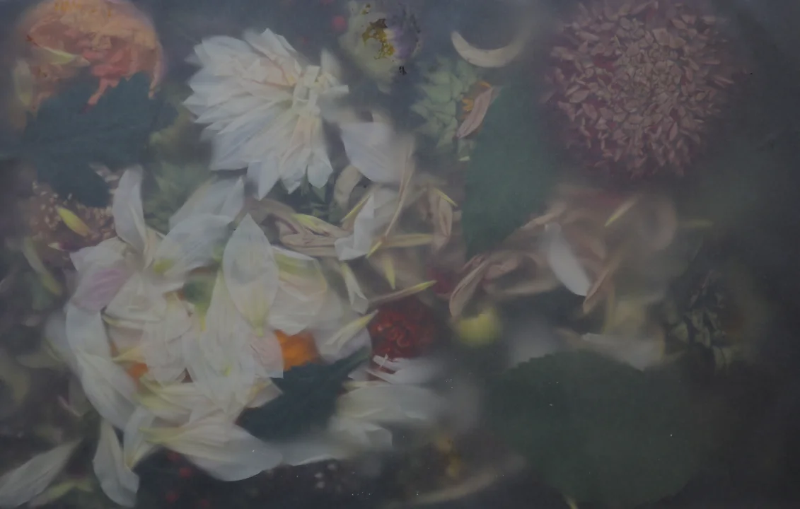 Summer Blooms
